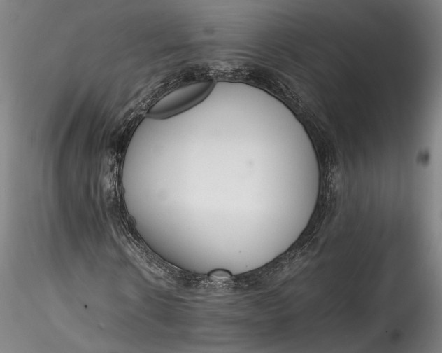 X0000115780914200911271201