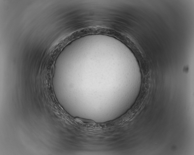 X0000115780919200911271201