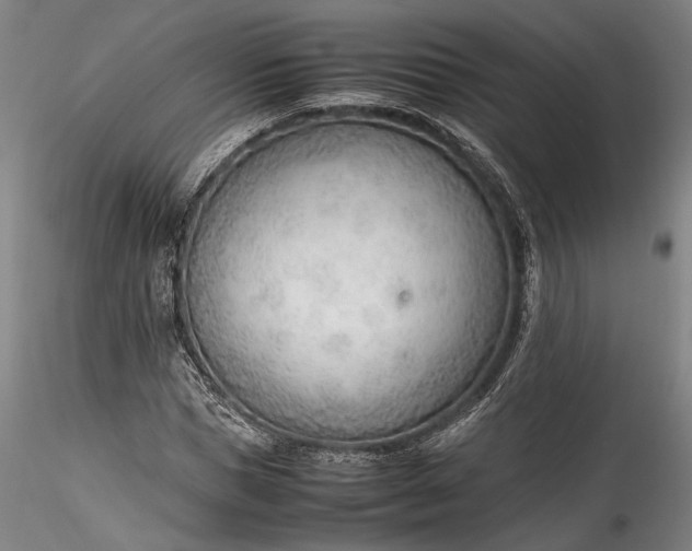 X0000115780921200911271201