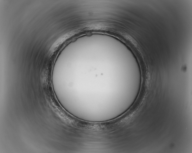 X0000115780922200911271201