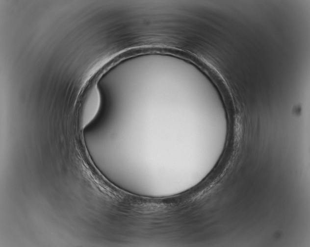 X0000115780925200911271201