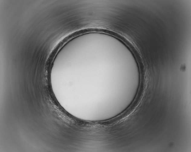 X0000115780926200911271201