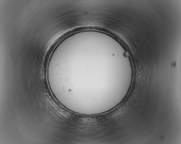 X0000115780927200911271201