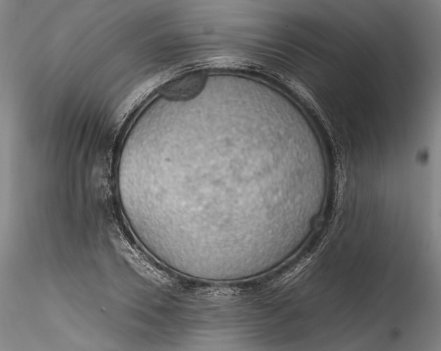 X0000115780930200911271201