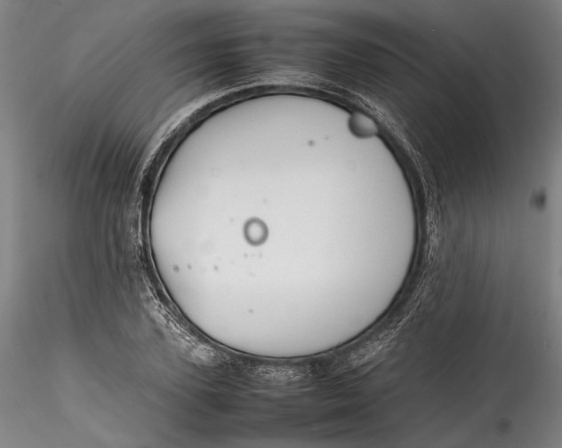 X0000115780931200911271201