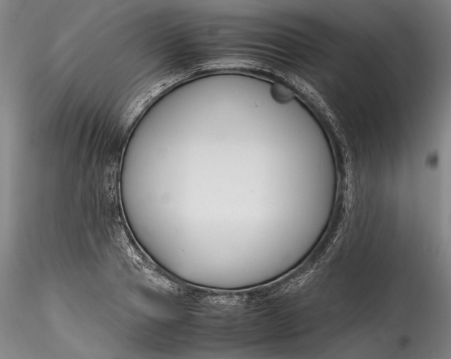 X0000115780937200911271201