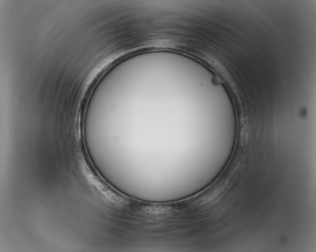 X0000115780939200911271201