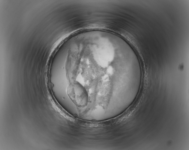 X0000115780941200911271201