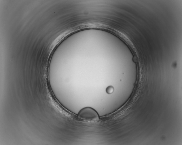 X0000115780946200911271201