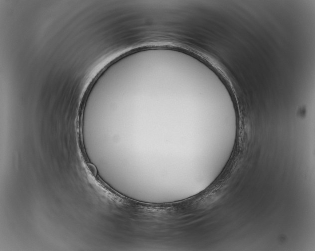 X0000115780951200911271201