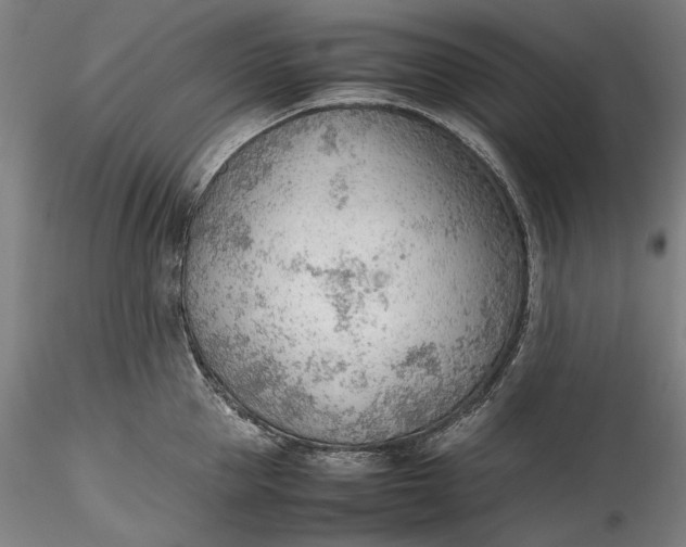 X0000115780953200911271201