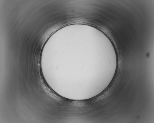 X0000115780954200911271201