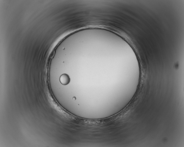 X0000115780955200911271201