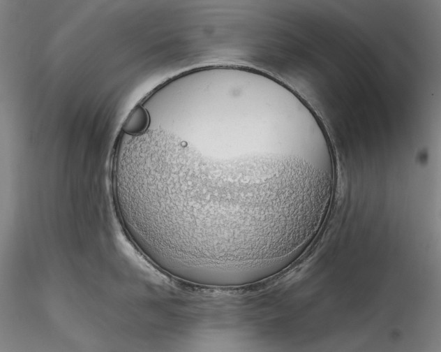 X0000115780958200911271201