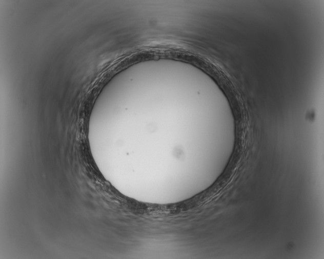 X0000115780965200911271201