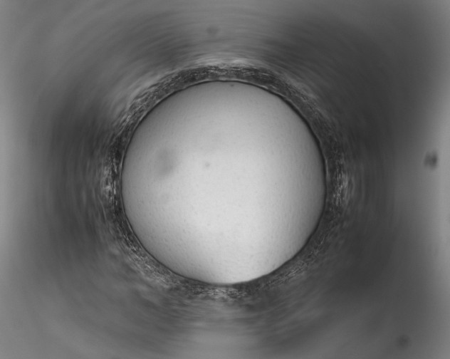 X0000115780966200911271200