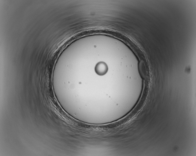 X0000115780969200911271200