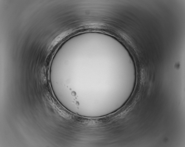 X0000115780970200911271200