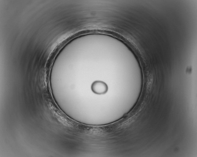 X0000115780974200911271200