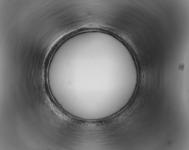 X0000115780976200911271200