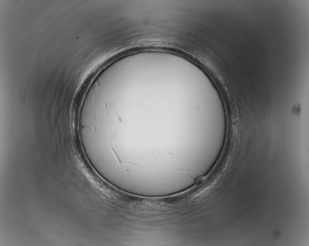 X0000115780981200911271200