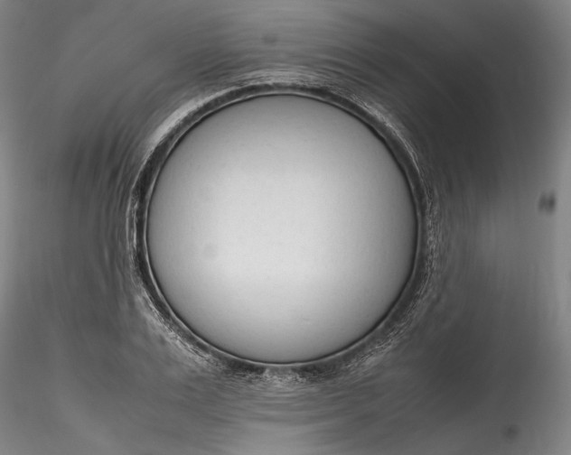 X0000115780983200911271200