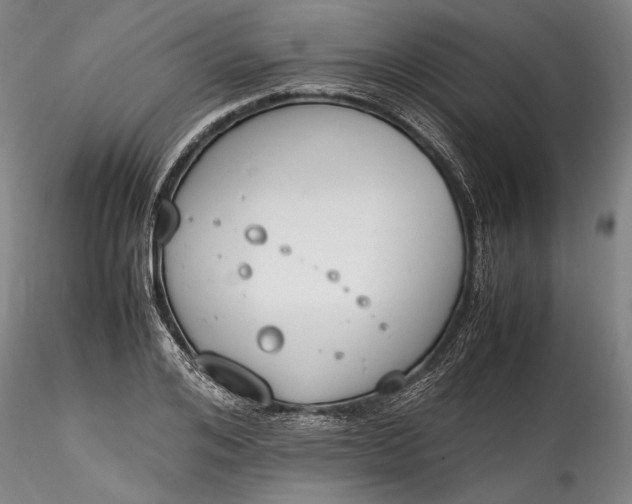 X0000115780984200911271200