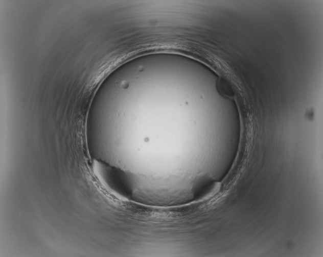 X0000115780985200911271200