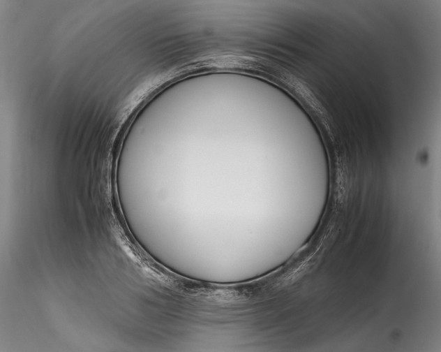 X0000115780986200911271200