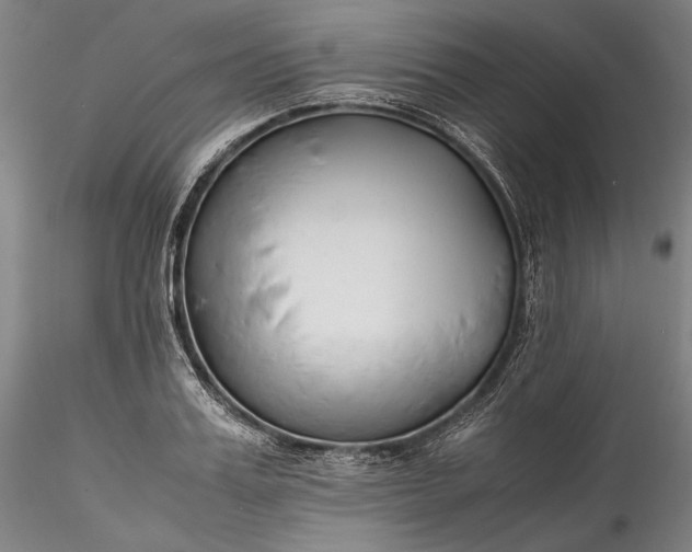 X0000115780987200911271200