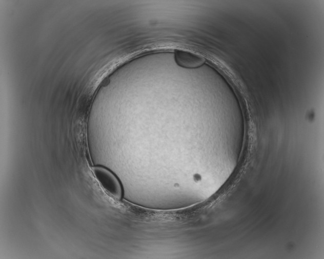 X0000115780993200911271200