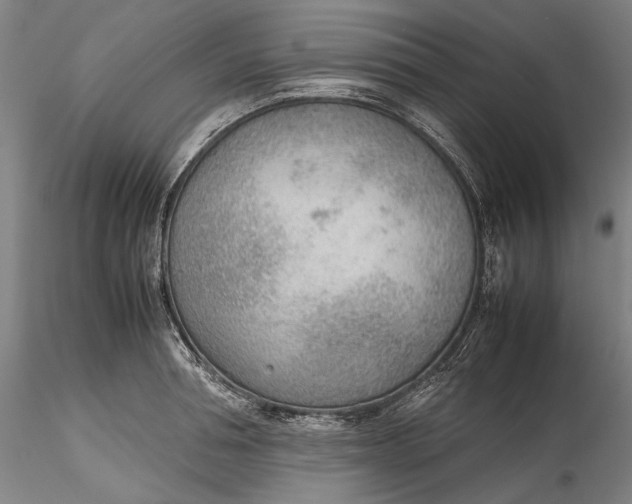 X0000115780994200911271200