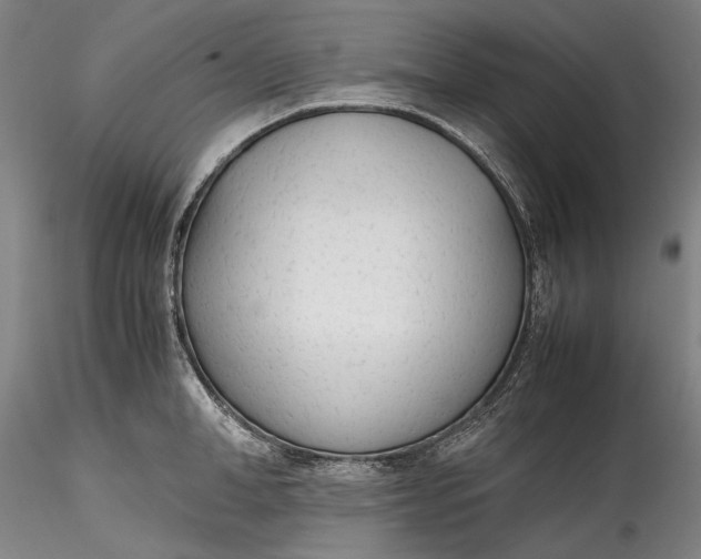 X0000115780998200911271200