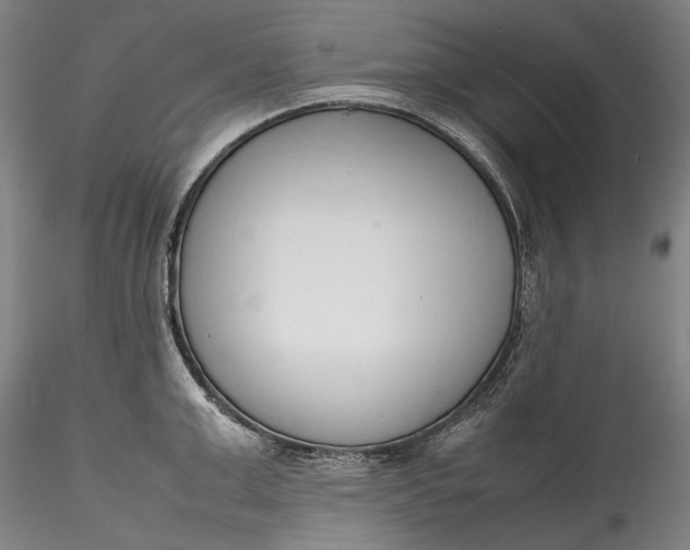 X0000115780999200911271200