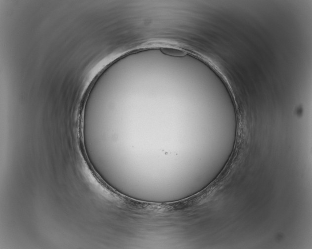 X0000115781003200911271200