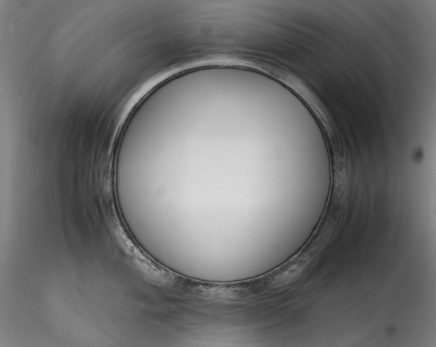 X0000115781004200911271200