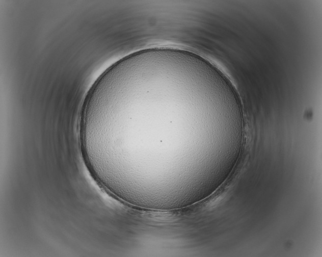 X0000115781007200911271200