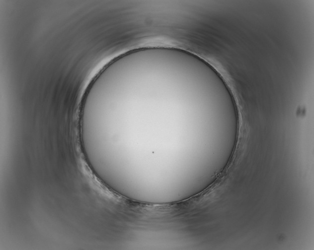 X0000115781008200911271200