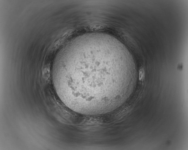 X0000115781011200911271159