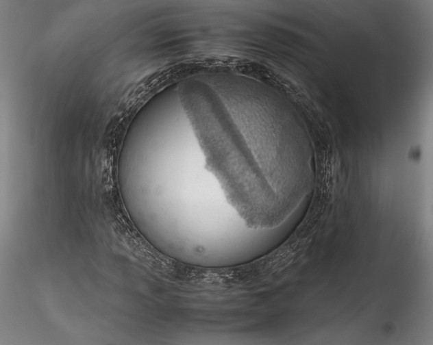 X0000115781013200911271159