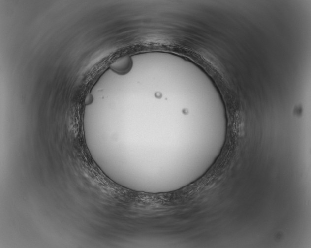 X0000115781015200911271159