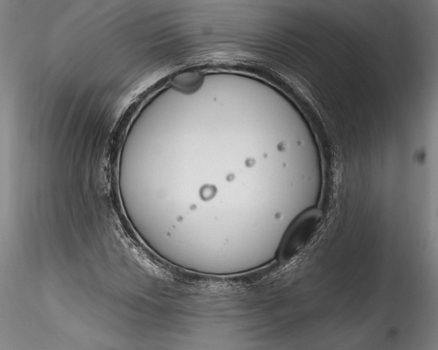 X0000115781018200911271159