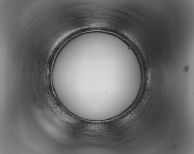 X0000115781021200911271159