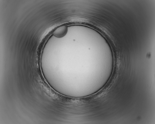 X0000115781022200911271159