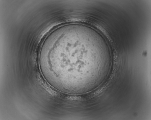 X0000115781023200911271159