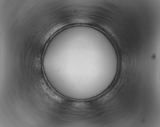 X0000115781025200911271159