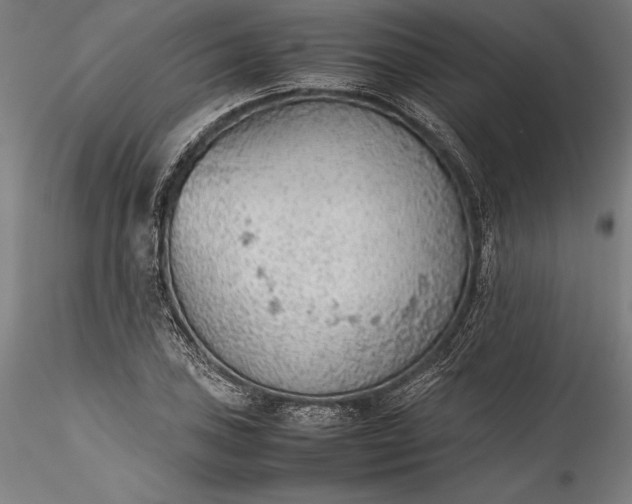 X0000115781027200911271159