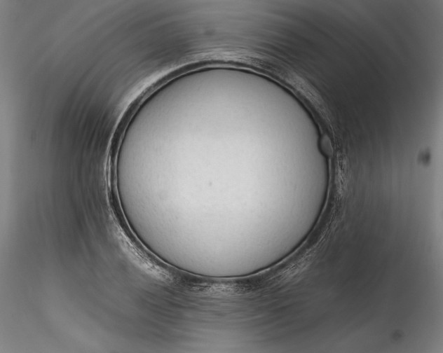 X0000115781028200911271159