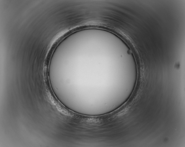 X0000115781029200911271159