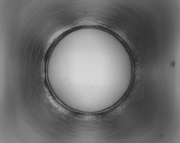 X0000115781030200911271159